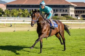 2015 J&B Met Gallops - Arion