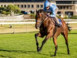 2015 J&B Met gallops - Legislate