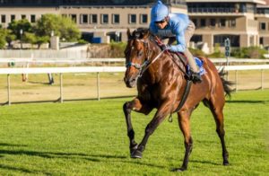 2015 J&B Met gallops - Legislate