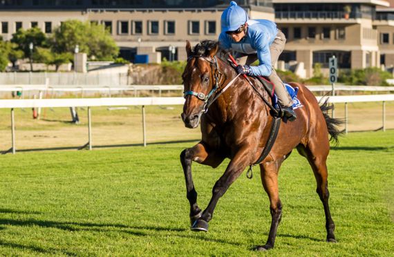 2015 J&B Met gallops - Legislate