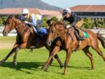 2015 J&B Met gallops - Punta Arenas