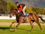 2015 J&B Met Gallops - Astro News