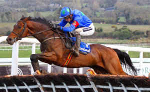 Hurricane Fly