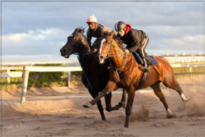 In A Rush - training gallop