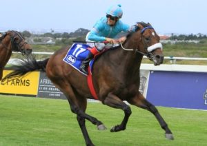 Arion wins the Peninsula Handicap