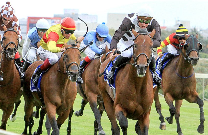 Futura Gr1 Queens Plate 2015