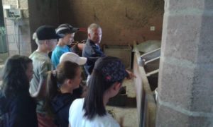 Eric Sands teaches the group about feeding horses