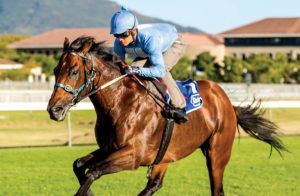 Legislate at the 2015 Met Gallops