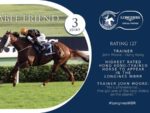 Longines Worlds Best Racehorse Rankings - Able Friend