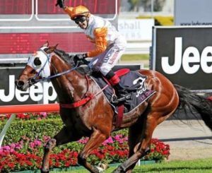 Luke Tarramt rides Le Chef to victory in the Magic Millions 2yo classic