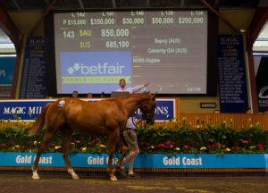 Magic Millions Day 1 Sales Topper