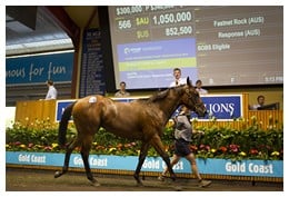 Magic Millions Lot 566 (Fastnet Rock - Response)