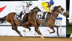 Mubtaahij wins