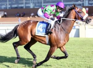 Unexposed Run Rhino Run steps into the Gr1 bullring