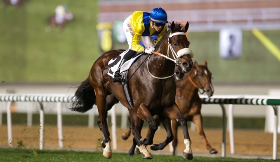Vercingetorix wins in Dubai