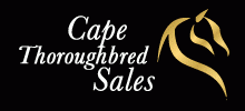 Cape Thoroughbred Sales