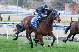 Classy galloper Mourinho