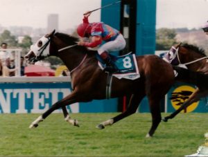 1995 Gr1 First National 1600, Race Master