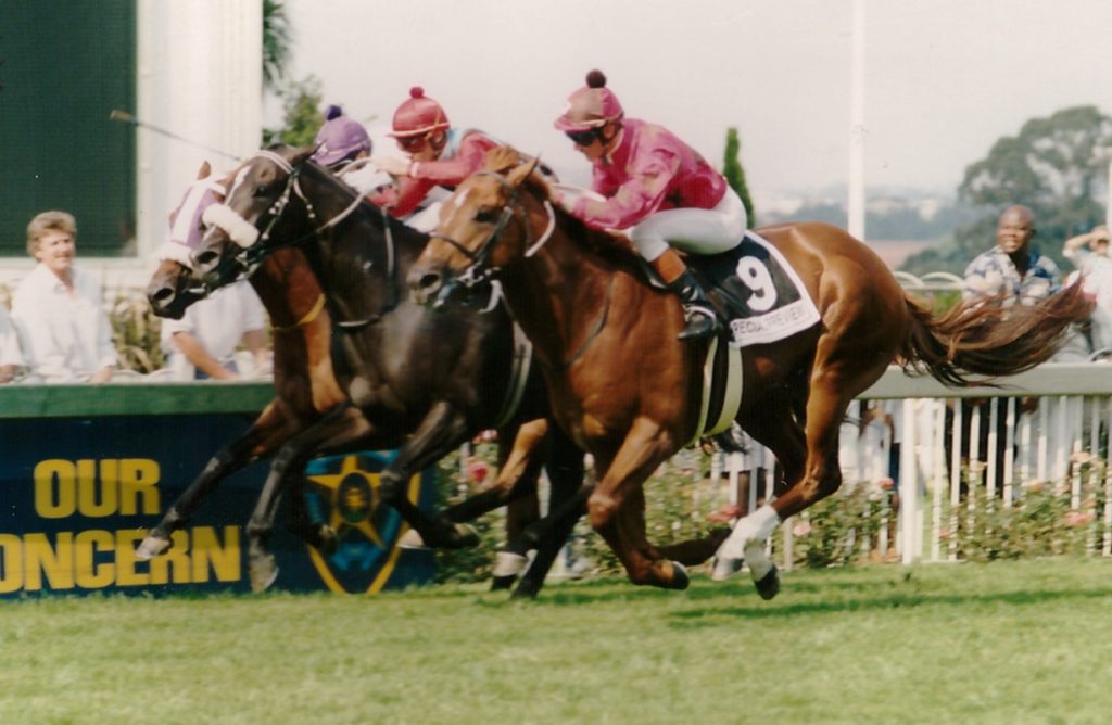 Eldoriza holds on to win the Keith Hepburn Champion Stakes