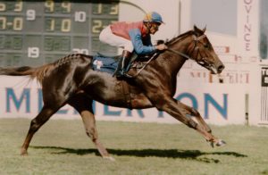 1995 Southern Cross Stakes, Hot Favourite