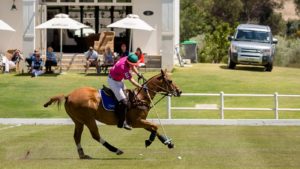 2015 BSA Val de Vie Yearling Sale (photo:  hamishNIVENPhotography)