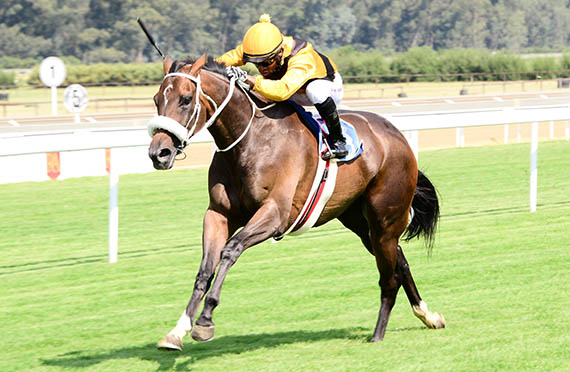 Be Mine Tonight wins at Turffontein on 2015-02-12