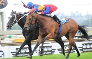 Chekilli winning the 2015 Hawaii Stakes