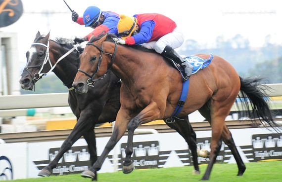 Chekilli winning the 2015 Hawaii Stakes