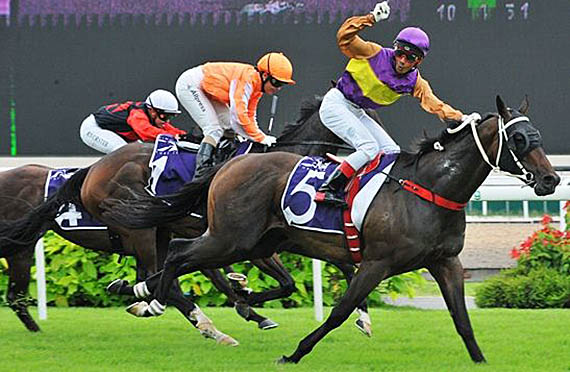 Knight's Command wins in Singapore on 27-04-14