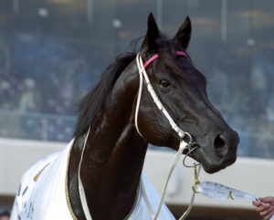 Lonhro (Octagonal-Shadea)