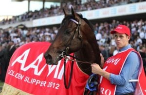 2012 Golden Slipper winner, Pierro (photo:  Liesl King)