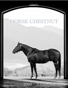 horse-chestnut_7