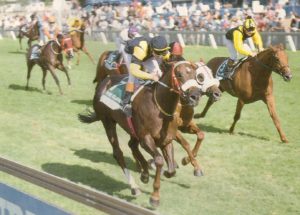 1995 Gr1 Turffontein Administrators' Classic