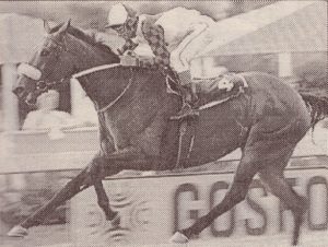 1995 Gr3 Gosforth Park Fillies & Mares Stakes