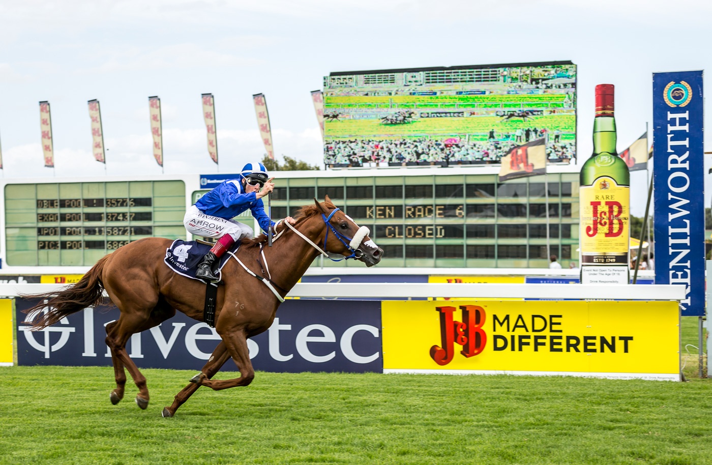 2015 Gr1 Investec Cape Derby, Ertijaal