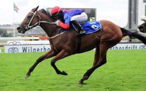 Amber Orchid stays on powerfully to win the Jacaranda