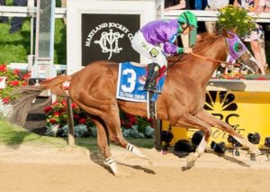 California_Chrome_Preakness_finish