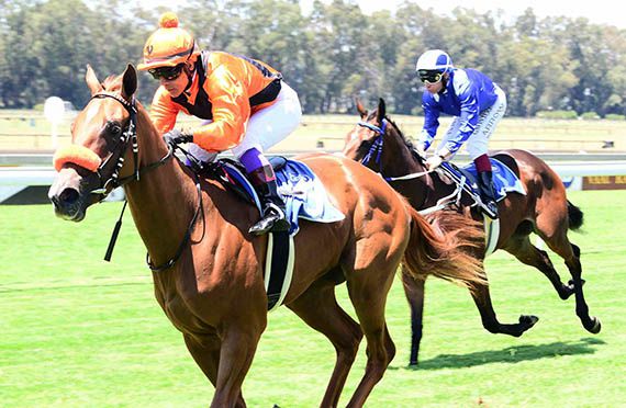 Frosted Honey wins at Turffontein on 2015-02-19