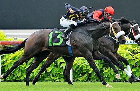 Majestic Moments wins at Singapore on 15-06-14