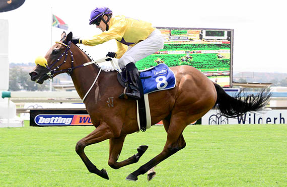 Mella Maria wins at Turffontein on 2015-02-28