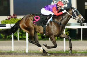 My Lucky Strike wins in Singapore