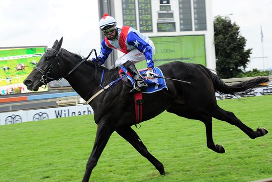 Redcarpet Captain - steps out at Turffontein on Saturday