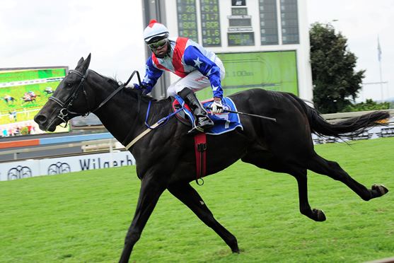 Redcarpet Captain -  won well in KZN recently