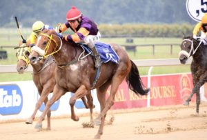 Royal Trip wins L Nkosazana Stakes