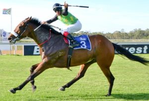 Sir Duke wins L East Cape Sprint Cup