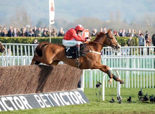 Sire De Grugy over last on way to winning at Cheltenham in 2014