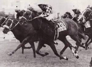 1995 Gr3 African Breeders Stakes