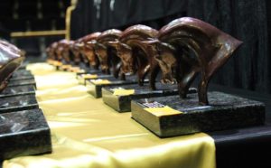 2015 TBA Gr1 Awards (photo: Candiese Marnewick)