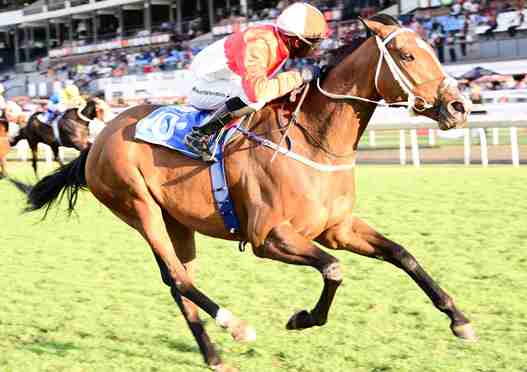 Bichette is on her own at the finish of the Camellia Stakes (JC Photos)