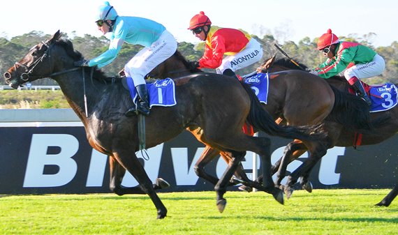 Eros's Girl beats Kumiko to win the East Cape Oaks (Coastal Photos)